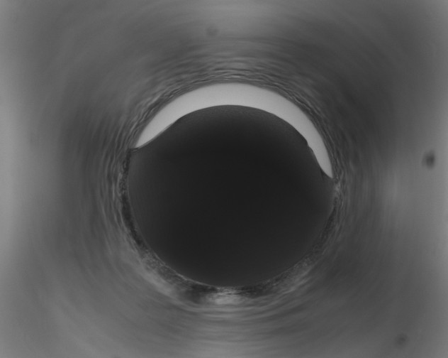 X0000116120219200912211700
