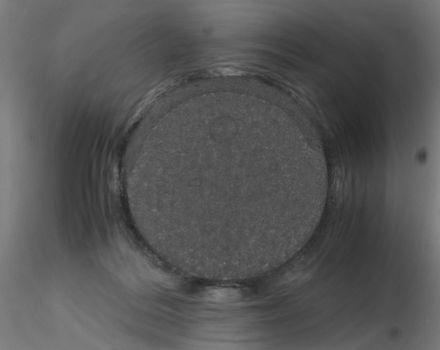 X0000116120220200912211700