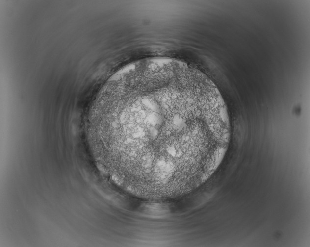X0000116120221200912211700