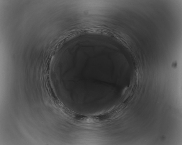 X0000116120223200912211700