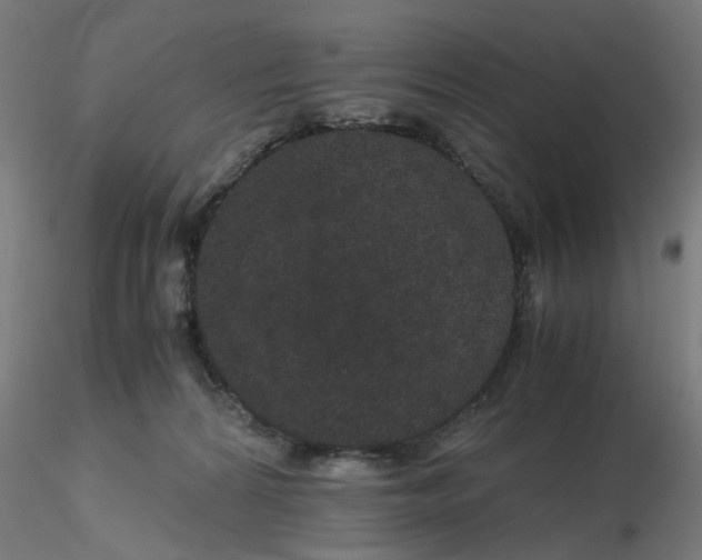 X0000116120224200912211700