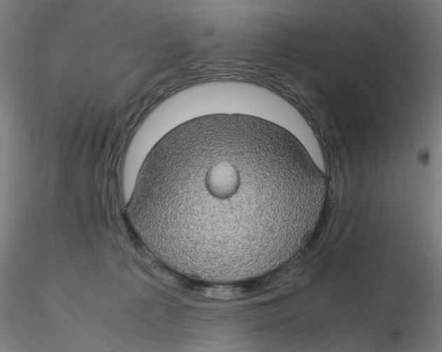 X0000116120225200912211700