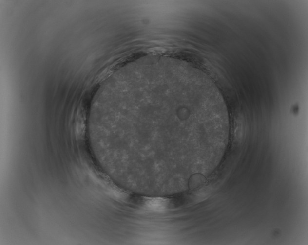 X0000116120226200912211700
