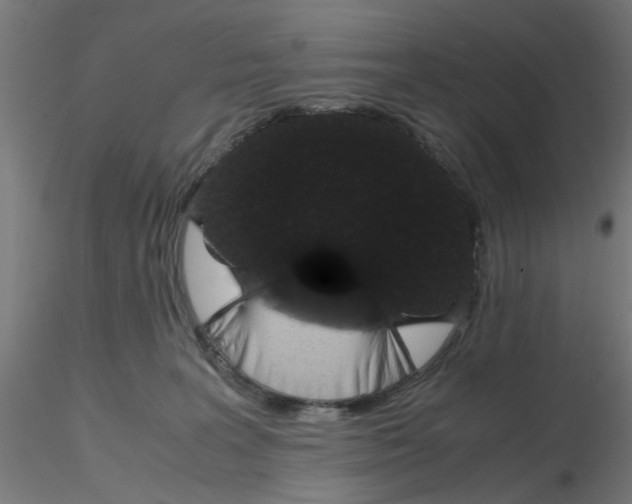 X0000116120227200912211700
