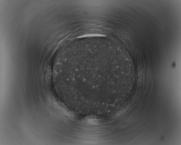 X0000116120228200912211700
