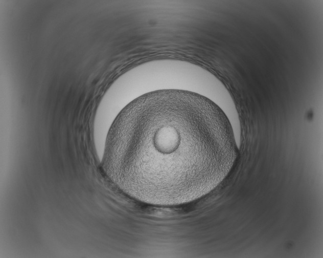 X0000116120229200912211700