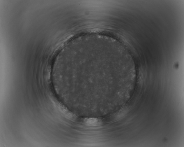 X0000116120230200912211700