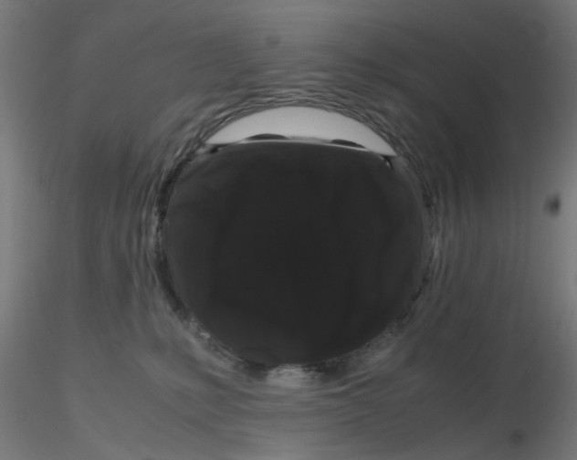 X0000116120231200912211700