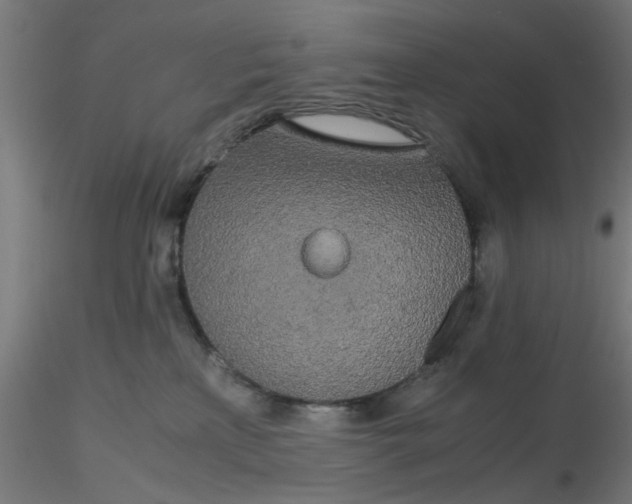 X0000116120233200912211700