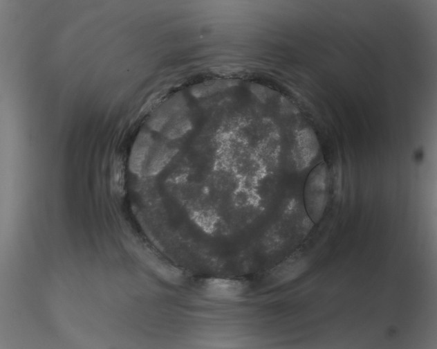 X0000116120234200912211700