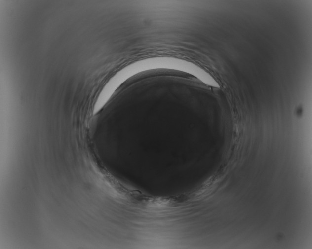 X0000116120235200912211700