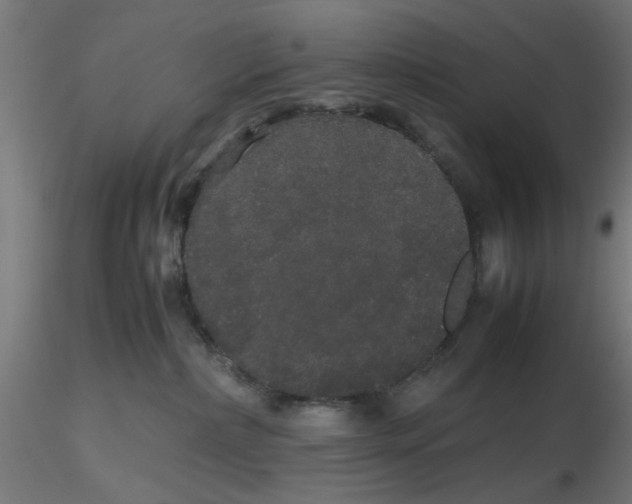 X0000116120236200912211700