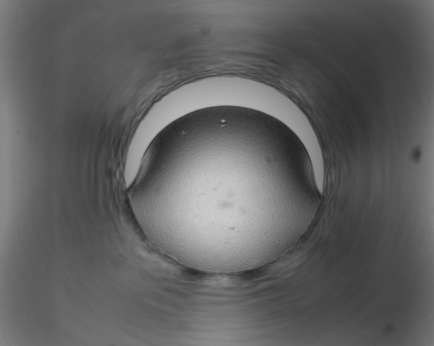 X0000116120237200912211700