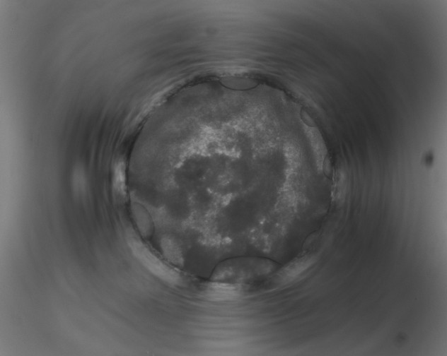 X0000116120238200912211700