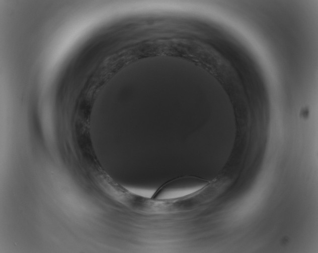 X0000116120239200912211700