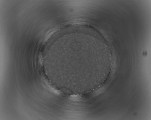 X0000116120240200912211700