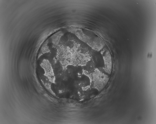 X0000116120241200912211700