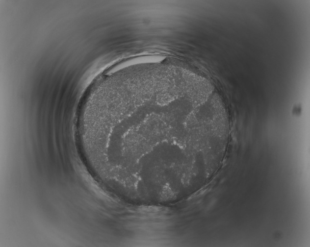 X0000116120242200912211700
