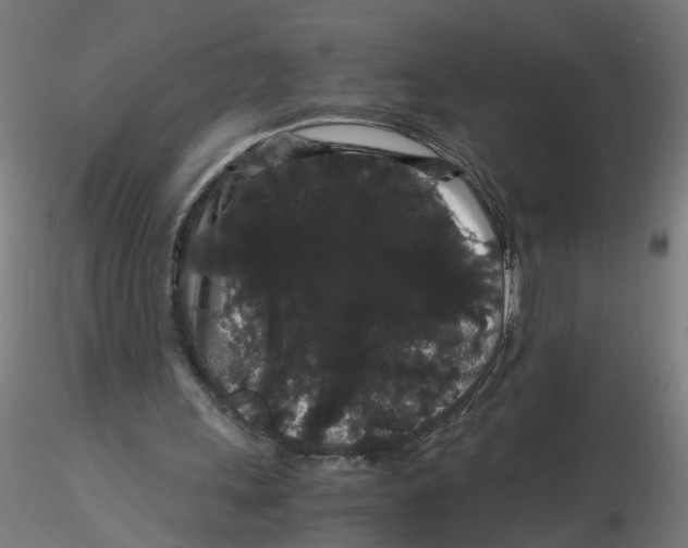 X0000116120243200912211700