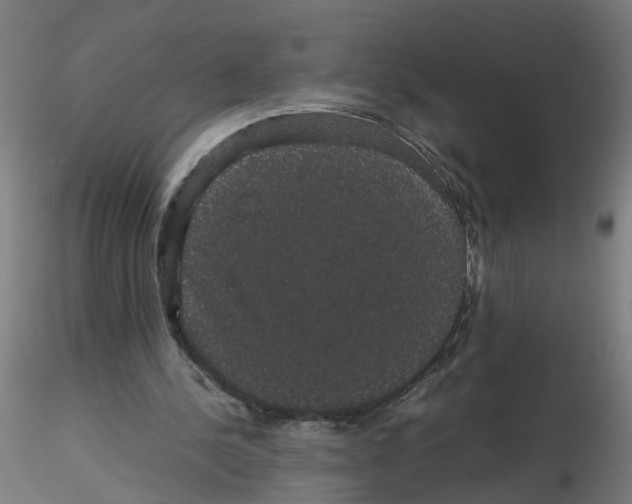 X0000116120244200912211700
