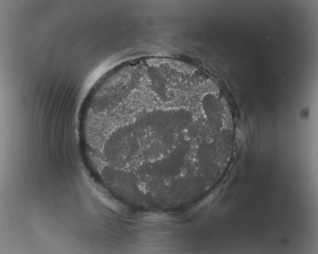 X0000116120246200912211700