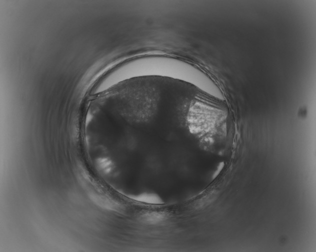 X0000116120247200912211700