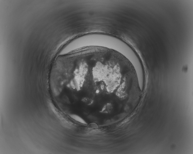 X0000116120249200912211700