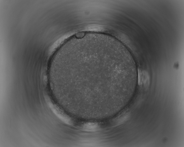 X0000116120252200912211700