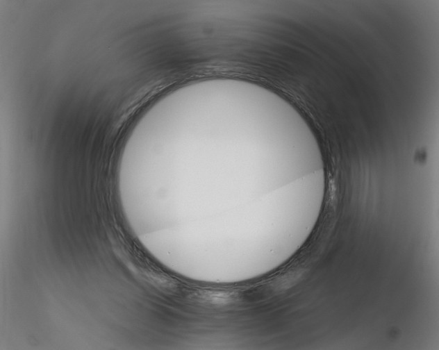 X0000116120254200912211700