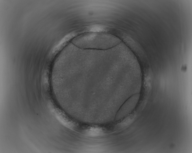X0000116120256200912211700