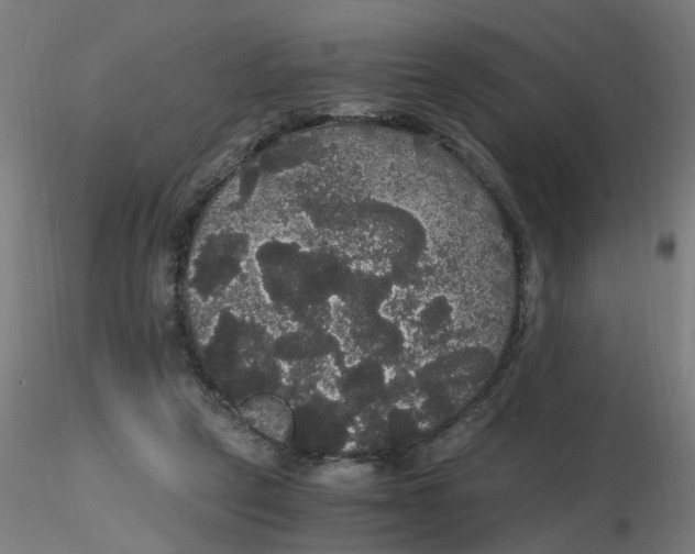 X0000116120257200912211700