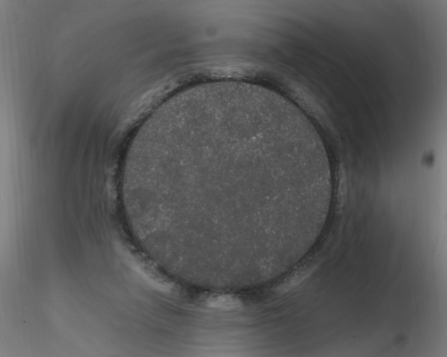 X0000116120258200912211700