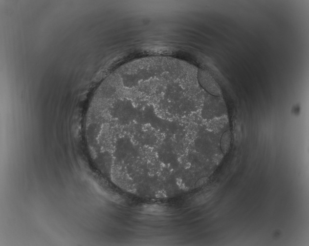X0000116120259200912211700