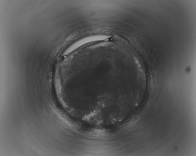 X0000116120260200912211700