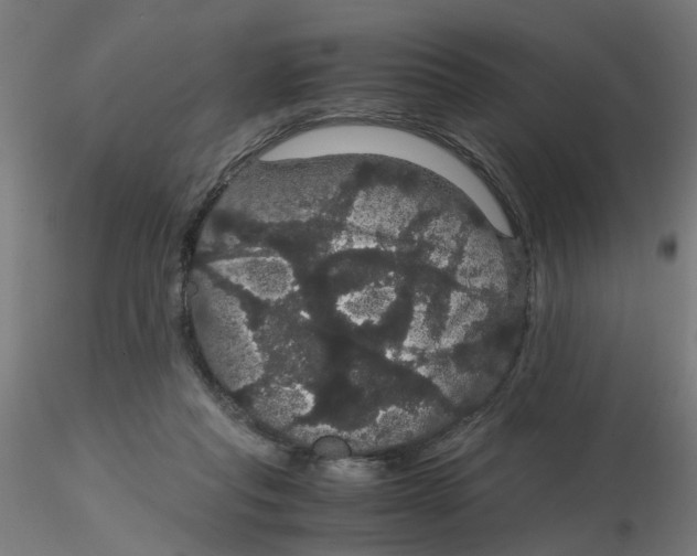 X0000116120261200912211700