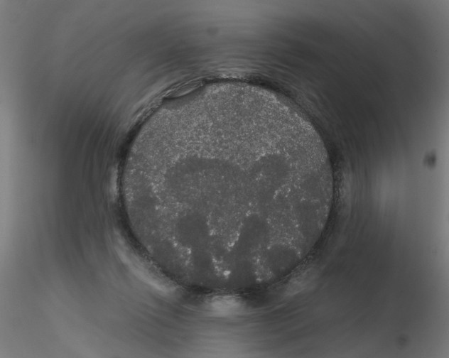 X0000116120262200912211700