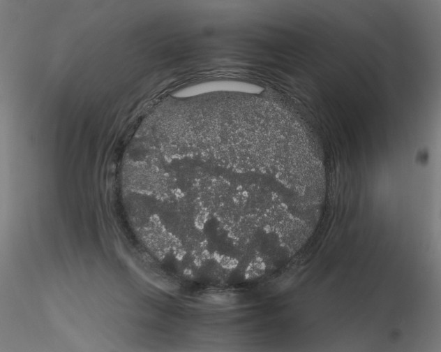 X0000116120263200912211700