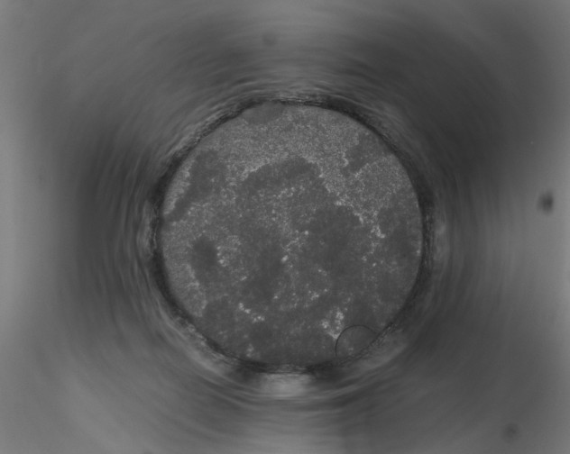 X0000116120266200912211700