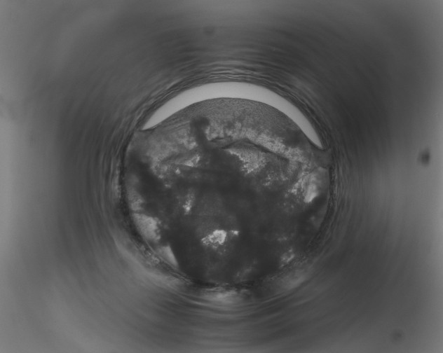 X0000116120267200912211700