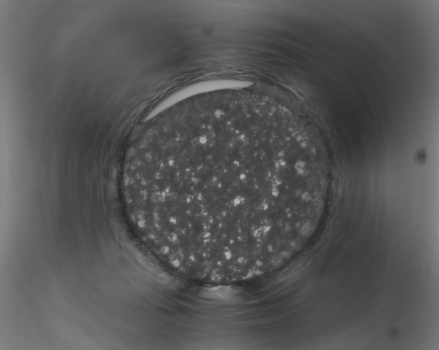 X0000116120269200912211700