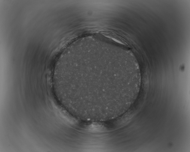 X0000116120270200912211700