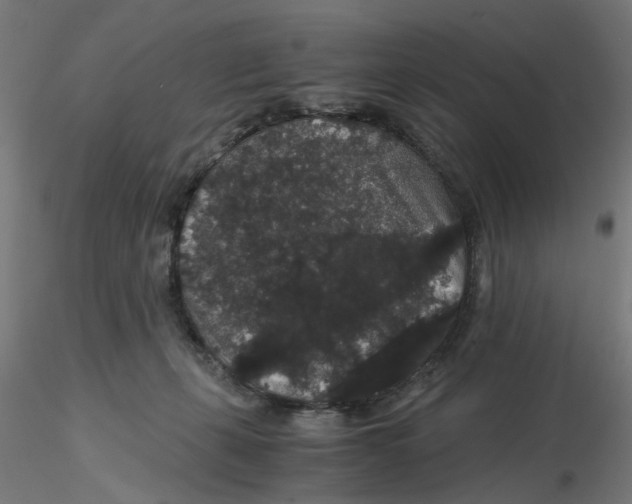 X0000116120271200912211700