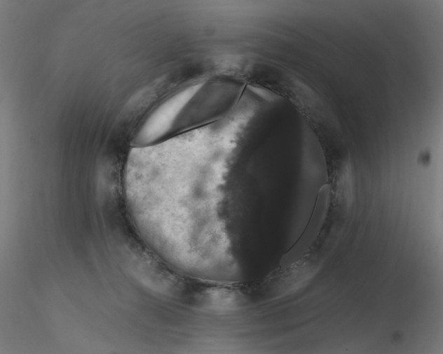 X0000116120272200912211700