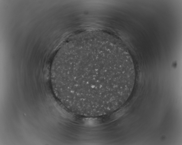 X0000116120273200912211700