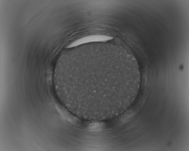 X0000116120274200912211700