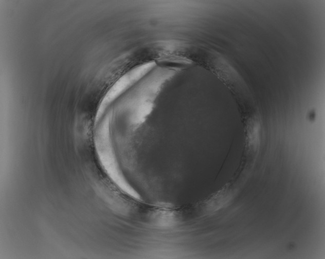 X0000116120276200912211700