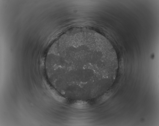 X0000116120278200912211700