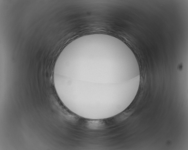 X0000116120281200912211700