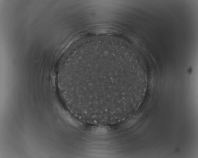X0000116120282200912211700
