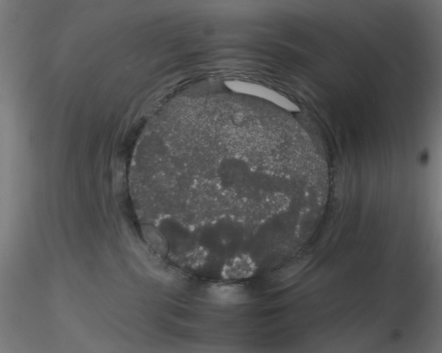 X0000116120283200912211700